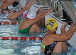 El circuito máster de natación cerró en Temuco con el 15º Campeonato Nacional