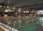 Minsal publica protocolos para uso de piscinas públicas y privadas a nivel nacional
