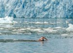 Bárbara Hernández a la conquista de la Antártica chilena!