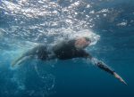 Un centenar de nadadores en el SeaMan del Challenge Puerto Varas 2022