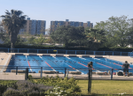 Participa en el III Torneo Master de Natación Copa Orcos