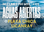 Ya están disponibles las inscripciones para Aguas Abiertas Lican Ray 2026