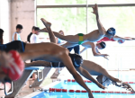 Sé parte de la X Torneo de Natación Máster San Bernardo